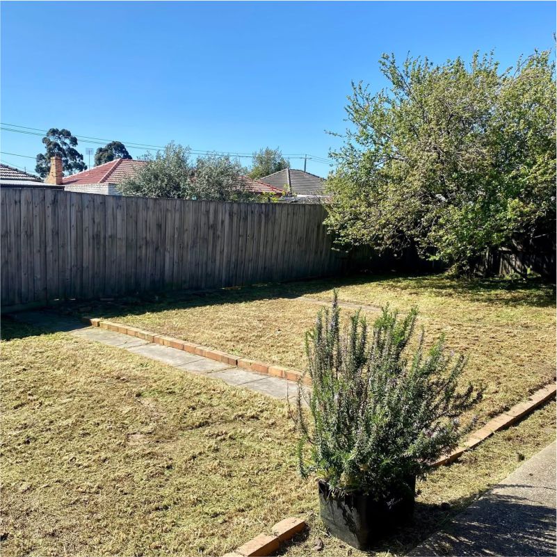 Garden Clean Up After image 17