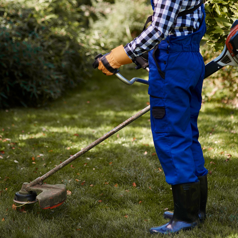 Garden Pruning & Trimming